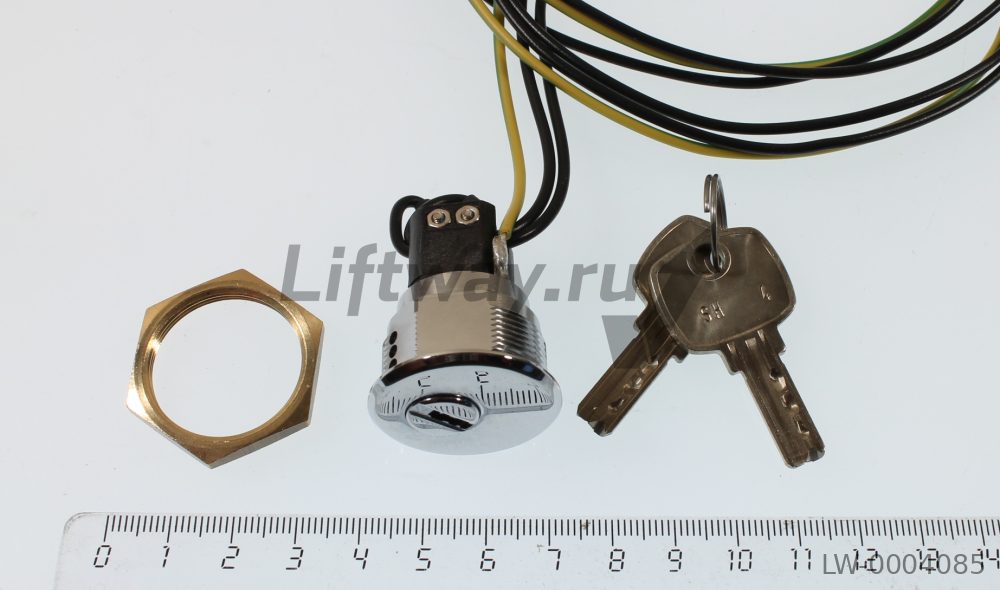 Ключевина COP/LOP SH4 250V ( хром )  с 2-мя ключами SH4